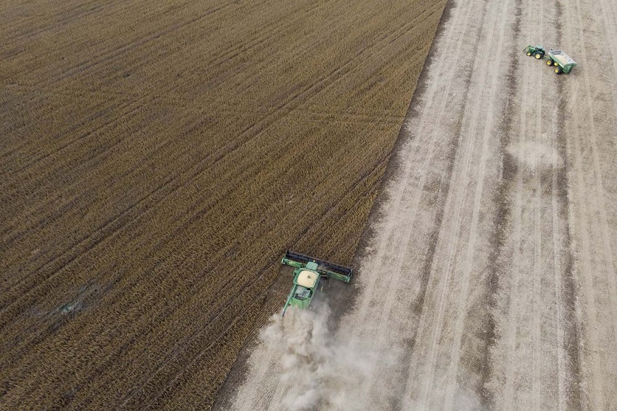 Brazil to have record soybean crop in 2022, study shows