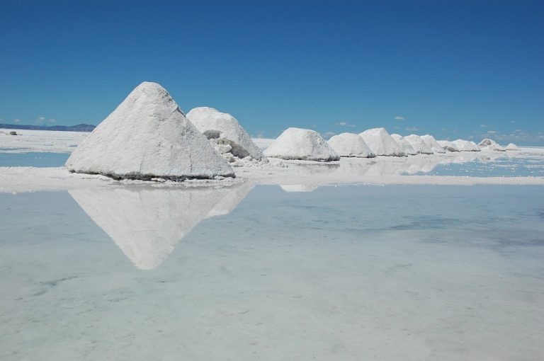 Eight companies compete to be Bolivia’s partners in lithium industry
