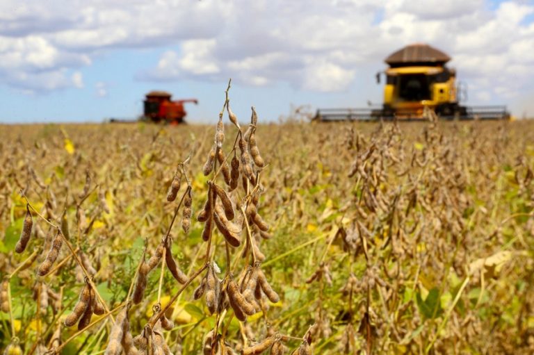 La Niña concerns increase among Brazil’s soybean producers