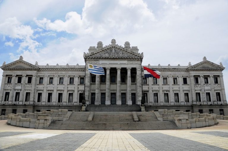 Uruguayan Parliament expects presidential veto of forestry law