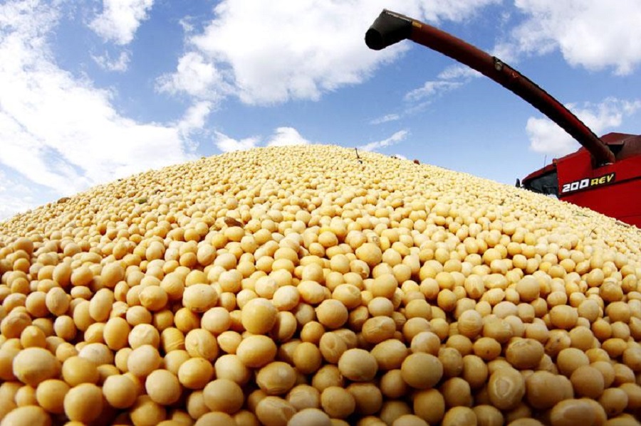 Paraguay: Exports within MERCOSUR reach 62%