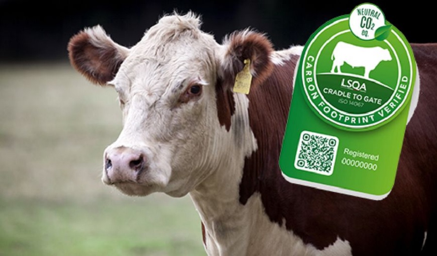 Uruguay to export first certified carbon-neutral meat shipment in South America