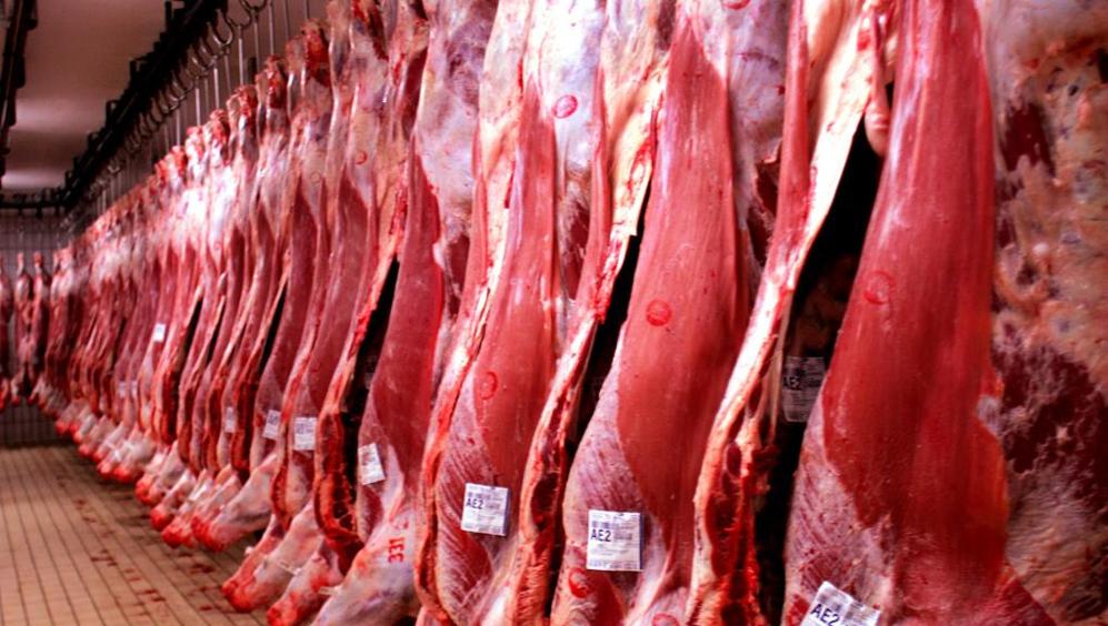 carne