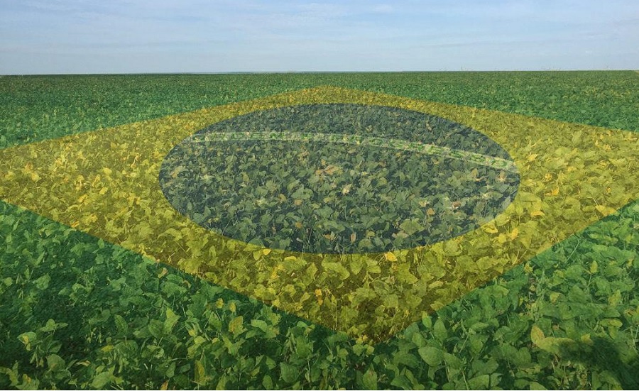 Brazil’s agribusiness to experience output rebound in 2022 – Expert