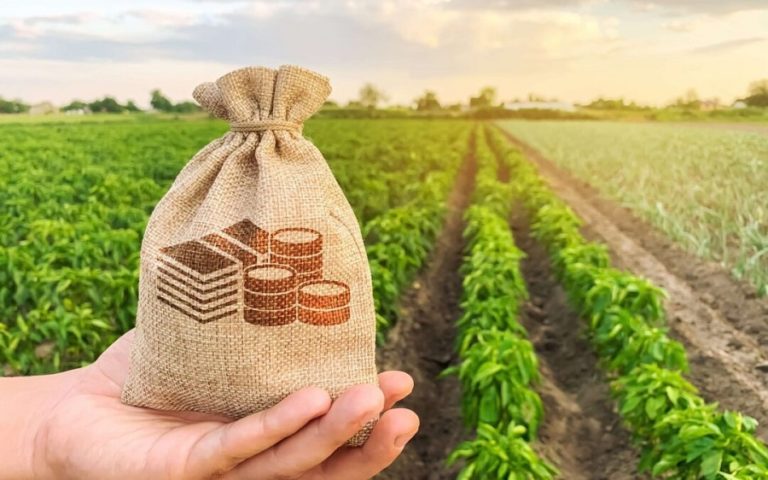 Brazil’s agribusiness exports hit record and total US$120.6 billion in 2021