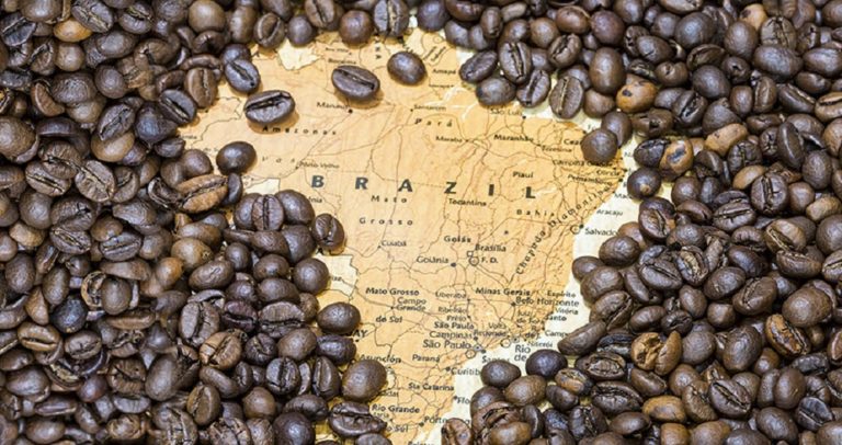 Brazil’s coffee harvest estimate up 16.8% for 2022