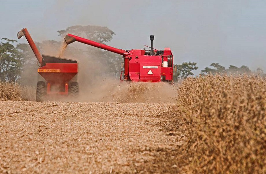 Paraguay should expedite its economic production diversification