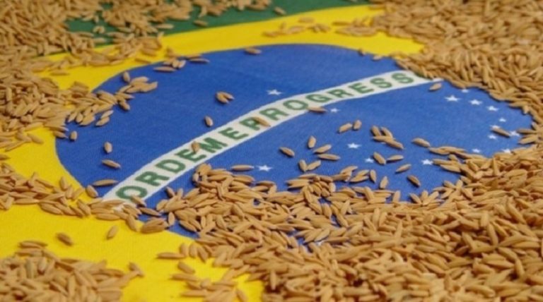 Brazil: After skyrocketing prices, rice sales stall; lead to surplus stock