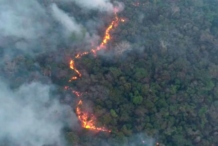 Paraguay fires spark legislative debate on environmental emergency bill