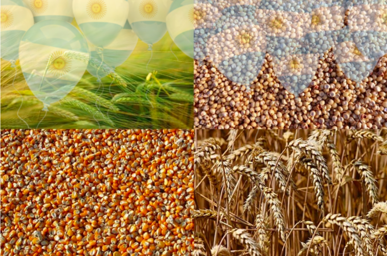Cargill is the leading exporter of grains and by-products in Argentina