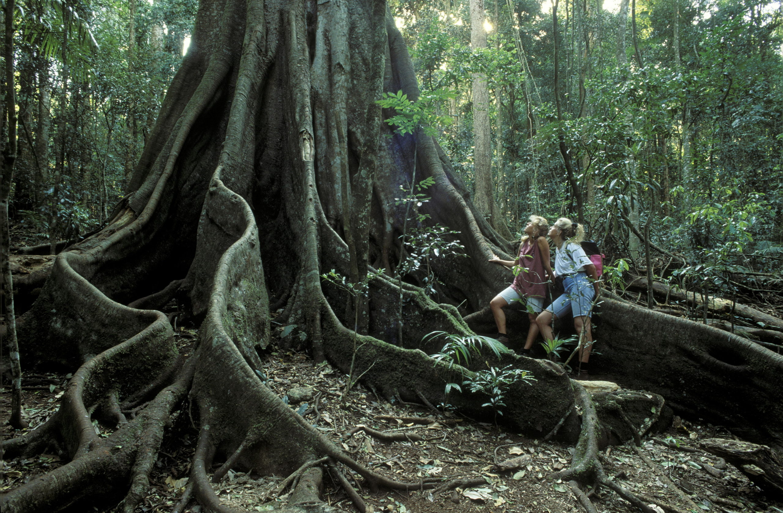 Brazil tourism