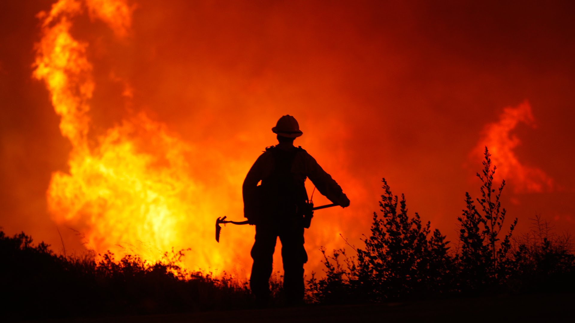 Argentina, Chile and Uruguay affected by massive forest fires. (Photo internet reproduction)