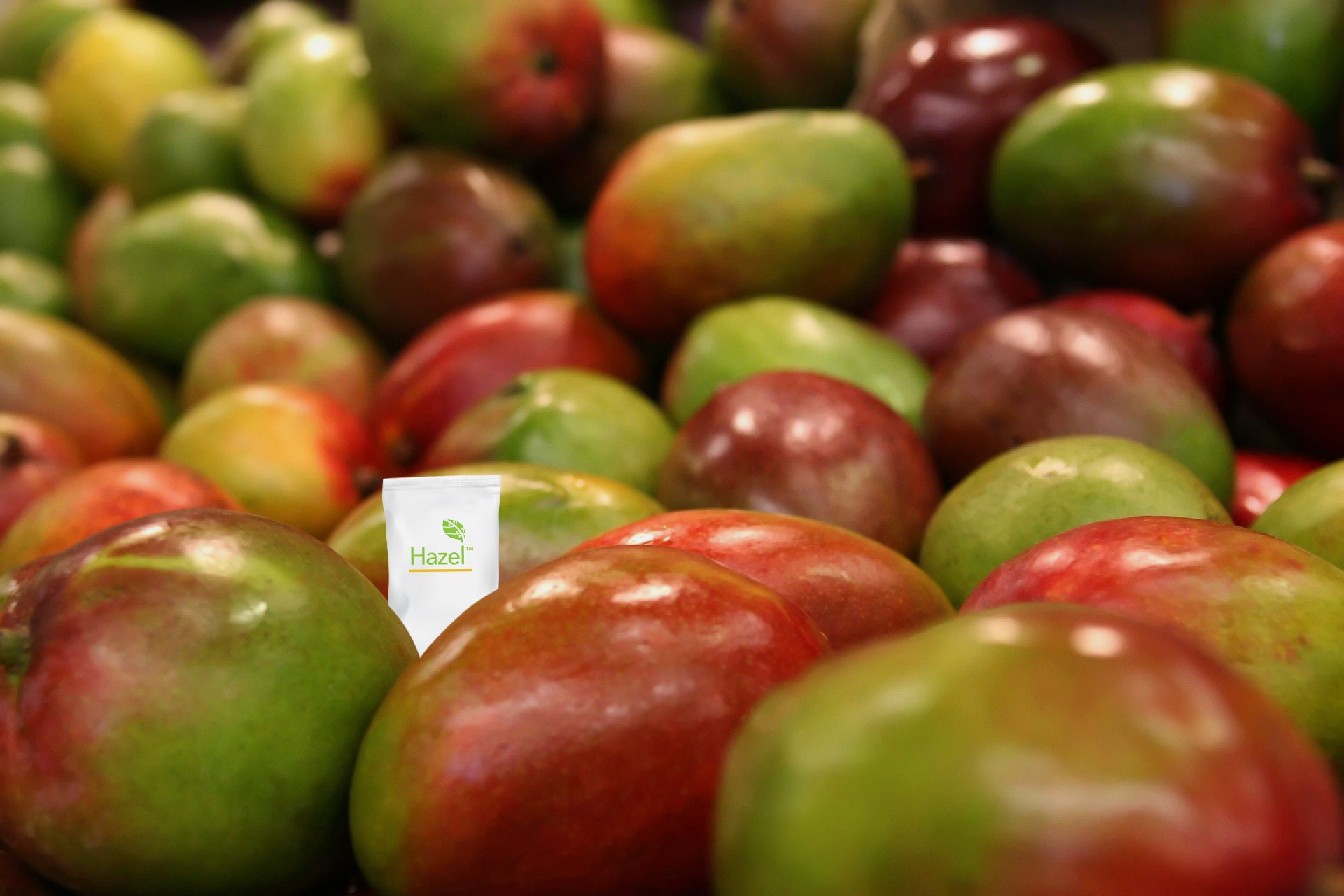 Mango