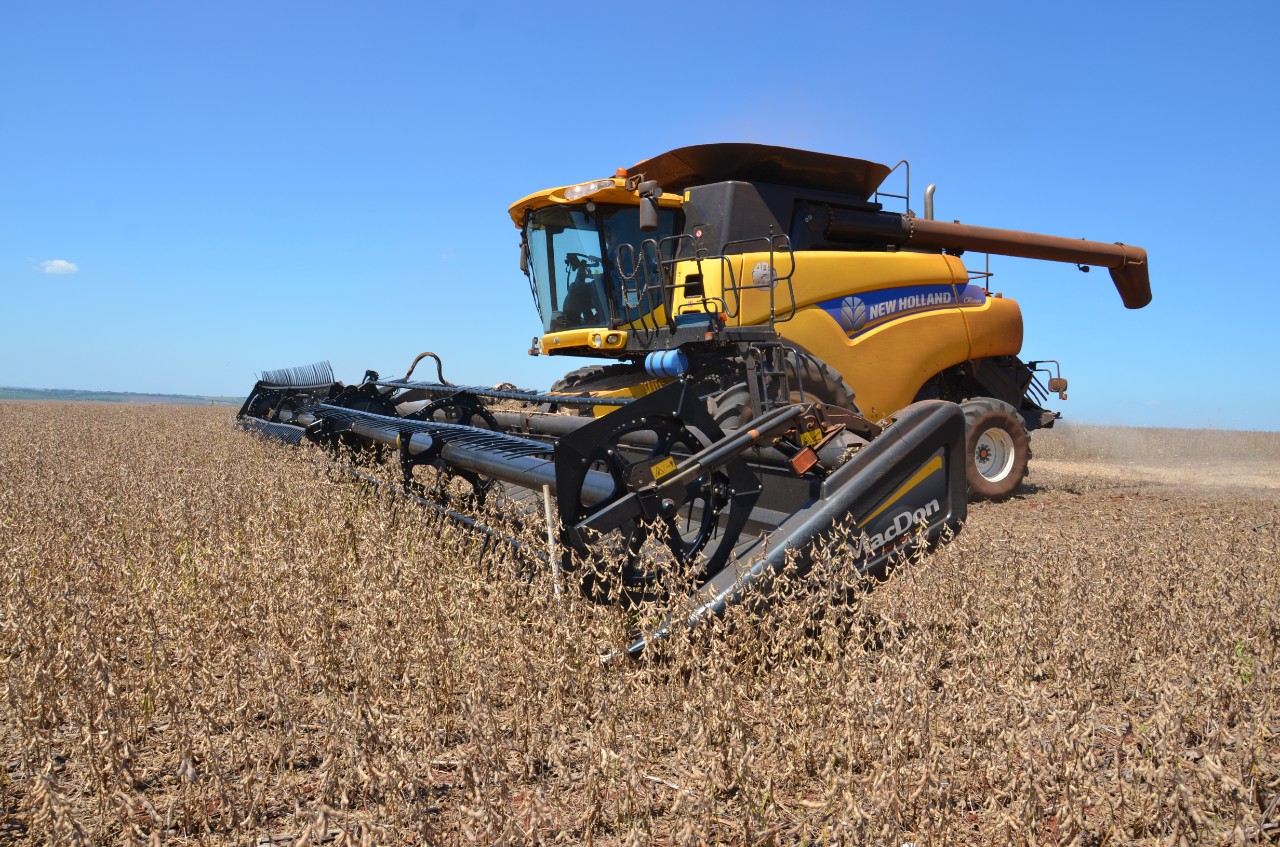 Paraguay cuts its soybean production projections by up to 40%. (Photo internet reproduction)