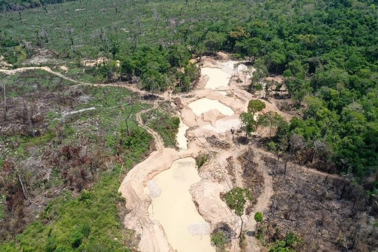 Report: Brazil’s isolated indigenous territories lost 3,200 hectares to deforestation in 2021