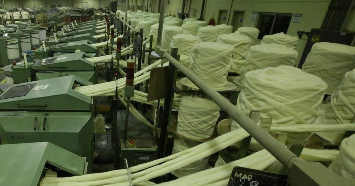 It should also be noted that the category managed to remain in the ranking of the 15 main export products of Uruguay in the fiscal year 2021, reaching 12th place with a share of 2% in total shipments.