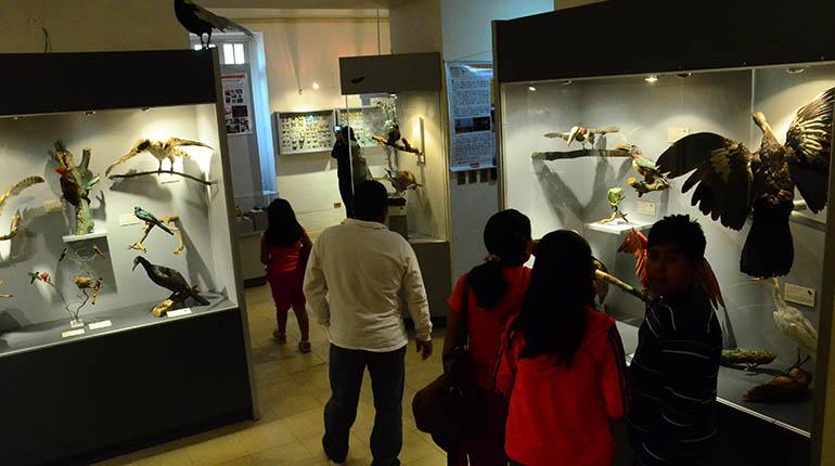 Fortunately, the museum has the support of the city's population, which has just published a manifesto in its defense.