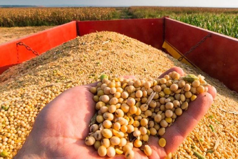 Estimates for 2021/22 soybeans in Southern Brazil reduced