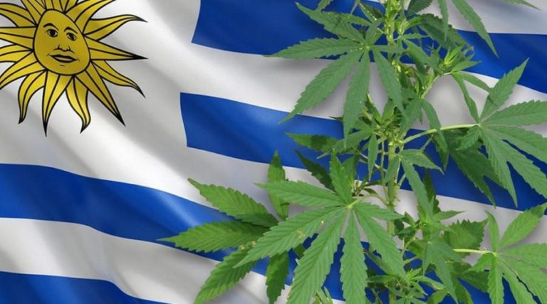Uruguay analyzes the sale of marijuana to foreign tourists