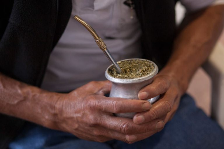 Yerba mate: Brazil and Paraguay battle for price with Argentina in the Middle East