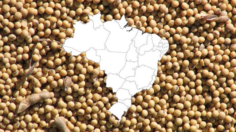 StoneX lowers forecast for Brazil’s soybean exports and consumption; projects record corn crop