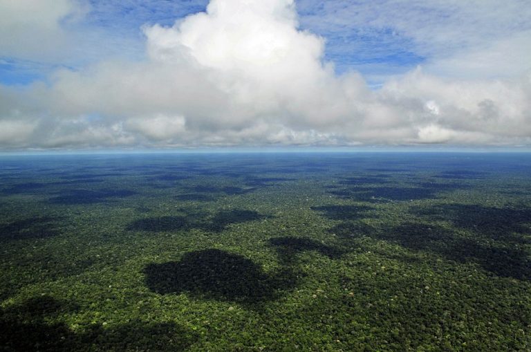 Brazil establishes priority action plans to preserve Amazon