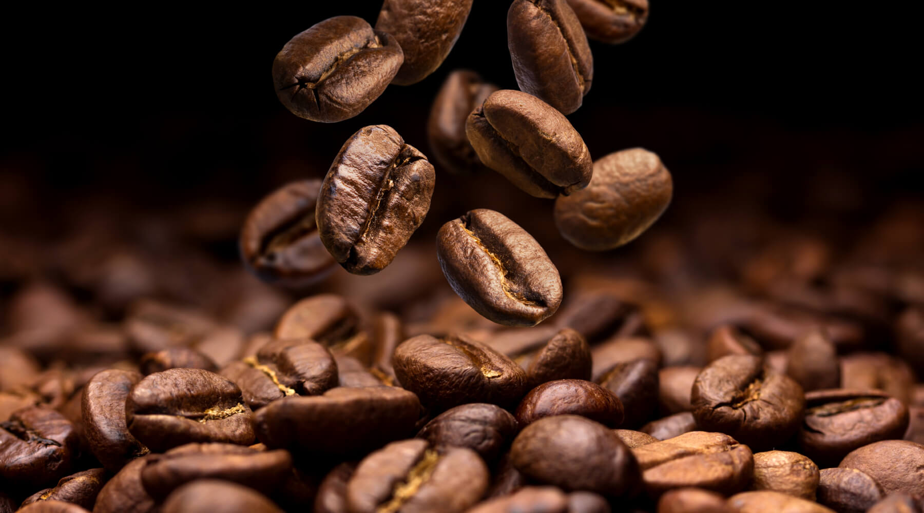 coffee-bean
