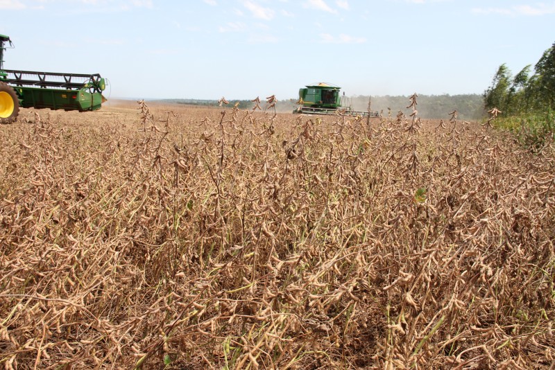 Paraguay, which is the world's fourth-largest exporter of soybeans, had not seen similar figures since the 2011 and 2012 harvests, when the crop stood at 4,043,039 tons, according to Capeco, whose records date from 1996-1997.