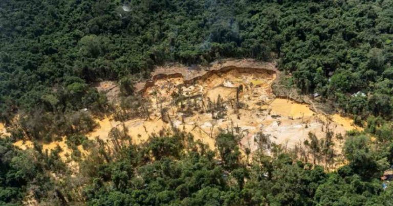 Ecuador suspends mining in Amazon area affected by illegal extraction