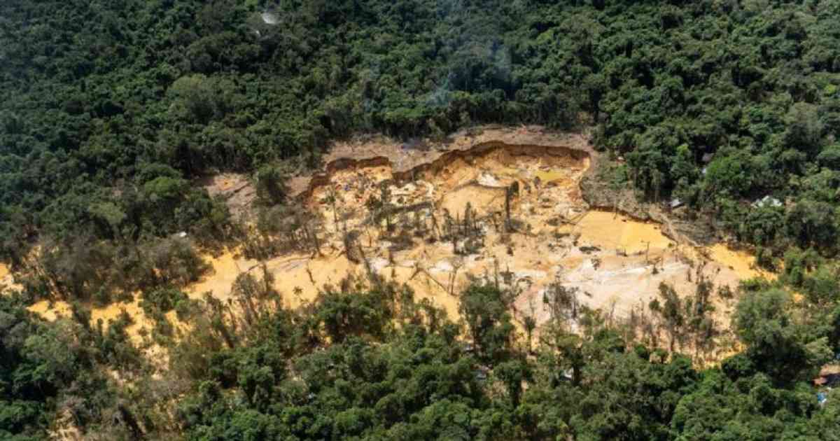 mining amazon