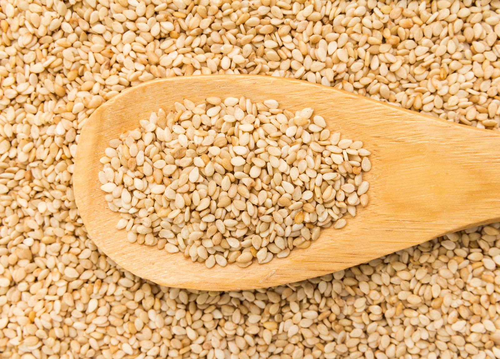Last year, for the first time, the Bolivian departments of Cochabamba, Tarija, and Chuquisaca recorded sesame exports. The region of Santa Cruz was the largest trader of this food to the international market.