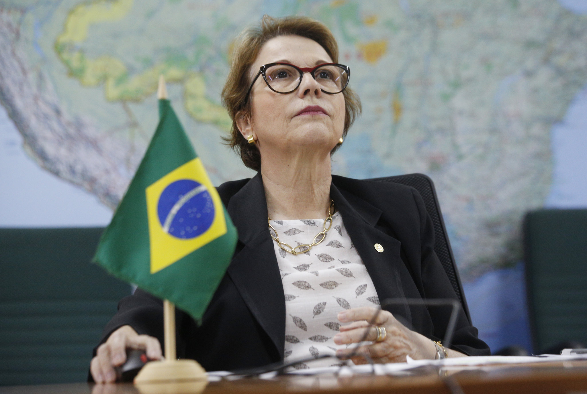 Brazilian Minister of Agriculture, Livestock, and Supply, Tereza Cristina.