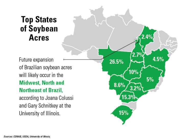Brazil’s soybean area expands least since 2006 due to rising costs and fertilizer crisis