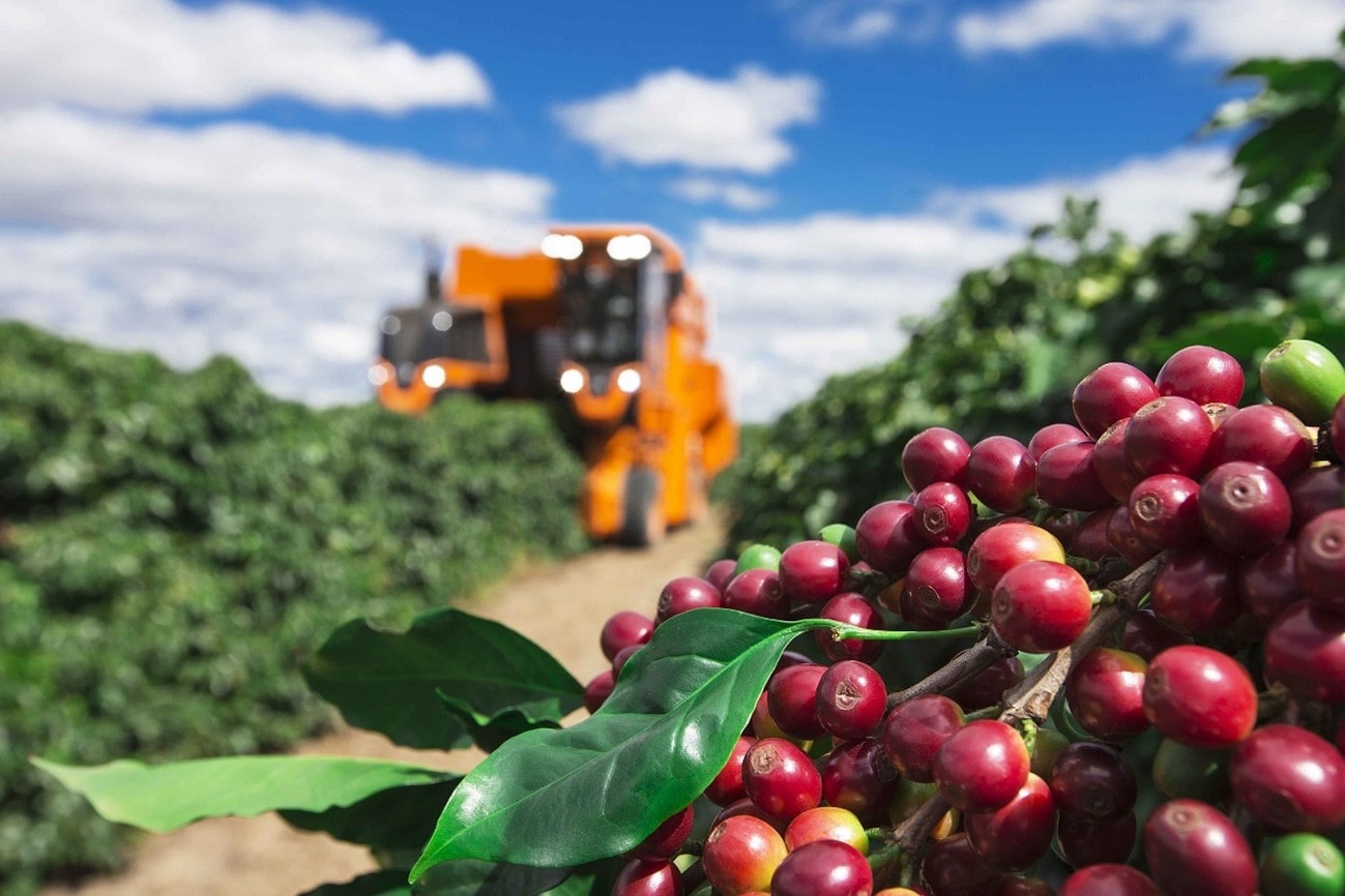 Rabobank further warned of some risks to Brazilian coffee next year due to the current fertilizer scenario.