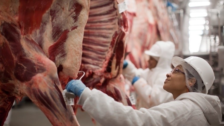 According to ABPA, about 20 Brazilian plants are currently suspended by the Europeans.