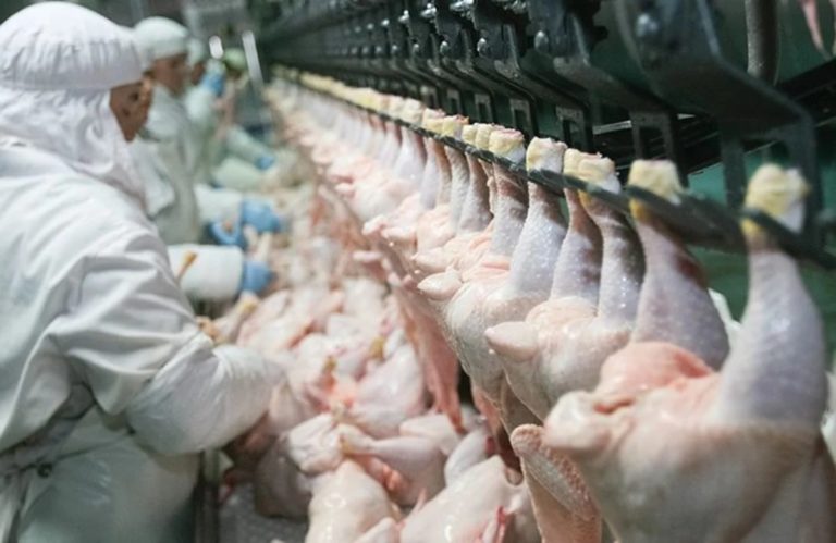Paraguay negotiates poultry meat shipment with Russia