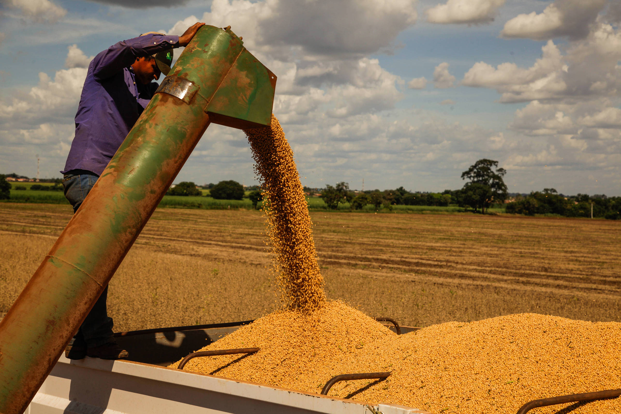 A total of 60,492 tons less soybeans were exported by Paraguay in the first two months of the year due to weather conditions, while revenues were higher compared to the same period of 2021.
