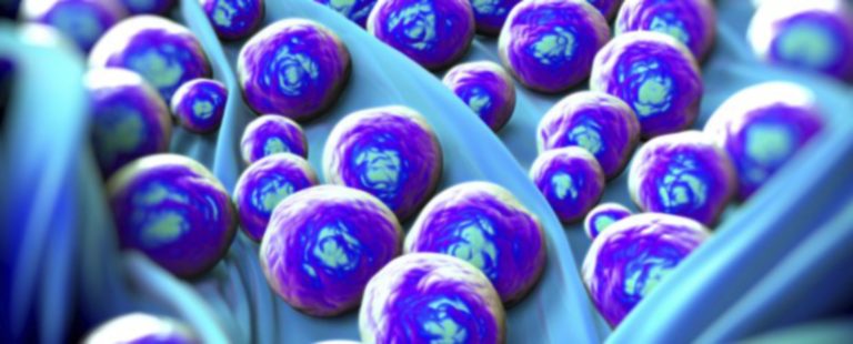 Game-changing synthetic antibiotics offer hope against superbugs