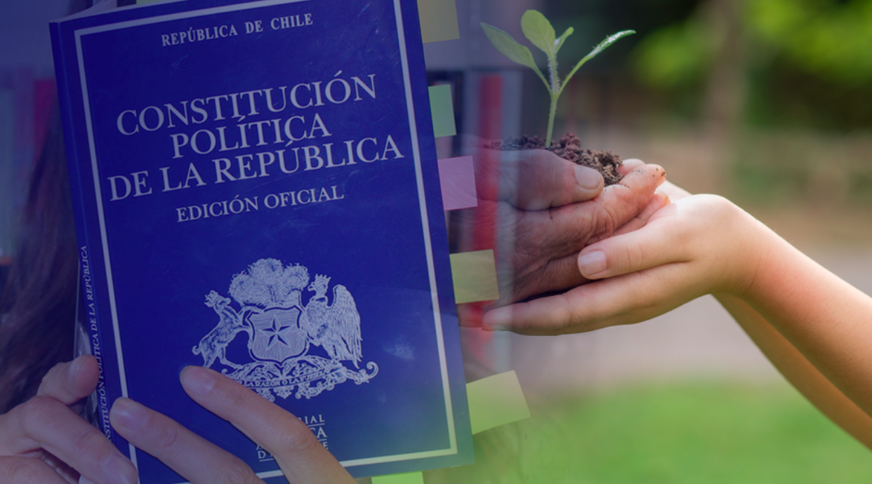 Chile-Constitution-Nature
