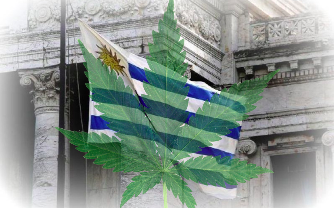 Uruguay-Cannabis-Law