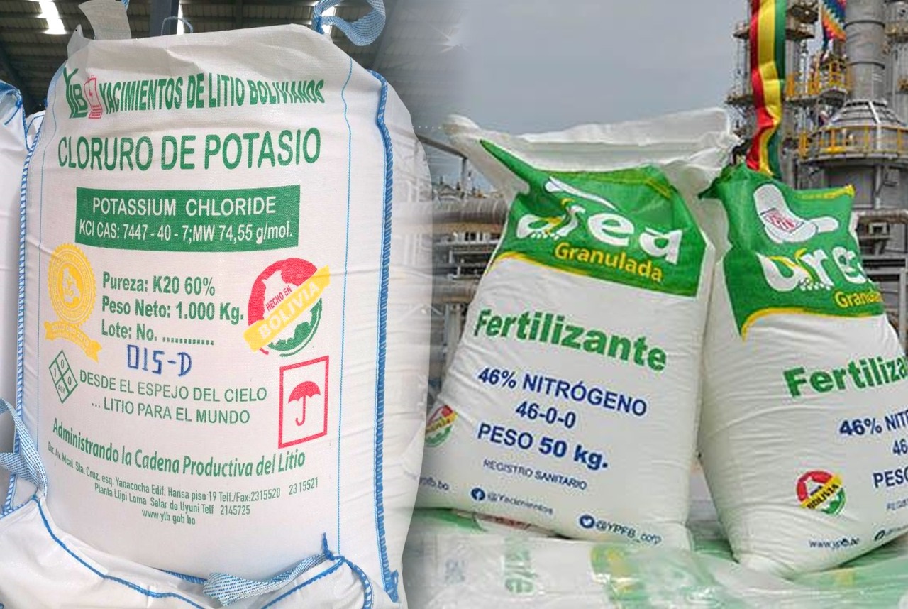 These measures make it possible for Bolivian producers to buy fertilizers at a lower price than that established for the international market, while a good production of fertilizers will guarantee the quality of the products obtained in agricultural activity and will reduce the cost of feeding the people.