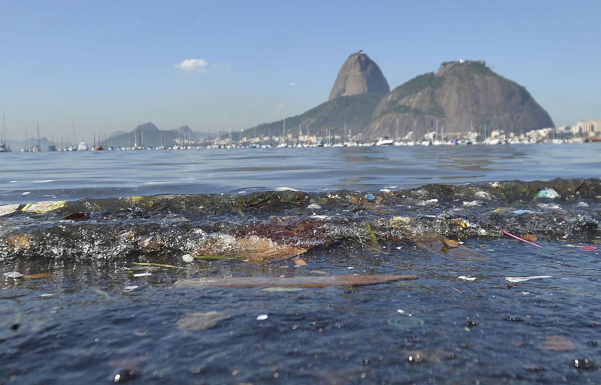 The only remedy has been an unforeseen event: nature in Guanabara Bay recovered during Rio's confinement by the coronavirus pandemic. Even animals such as sea turtles, which had long avoided the dirty waters, returned to the deserted beaches.