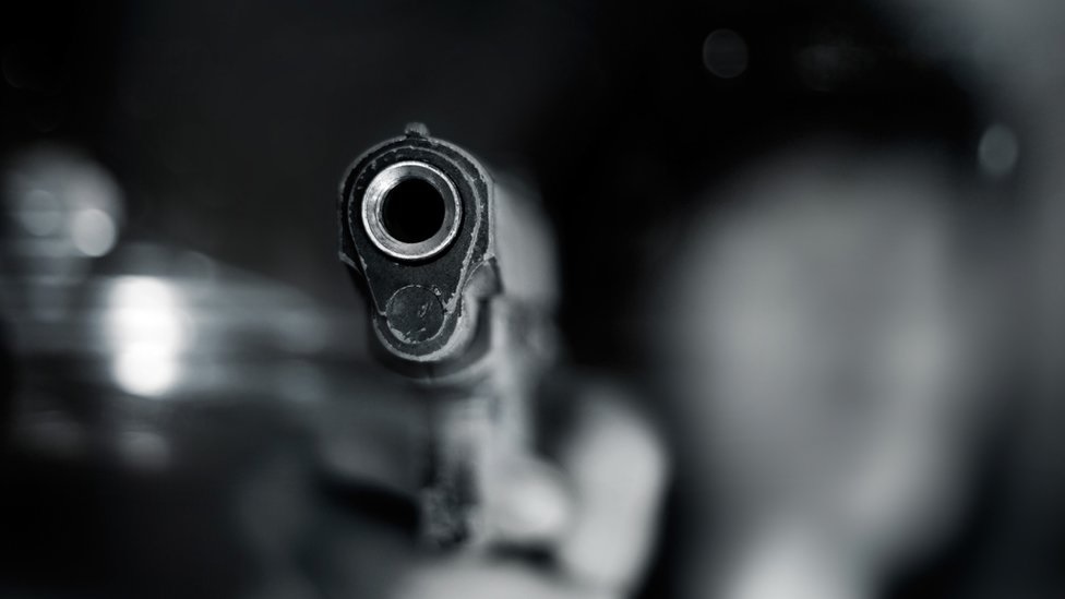 gun