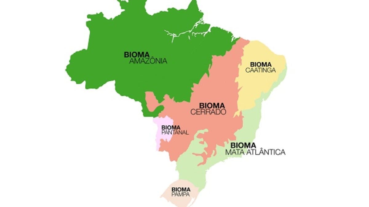 Cerrado2