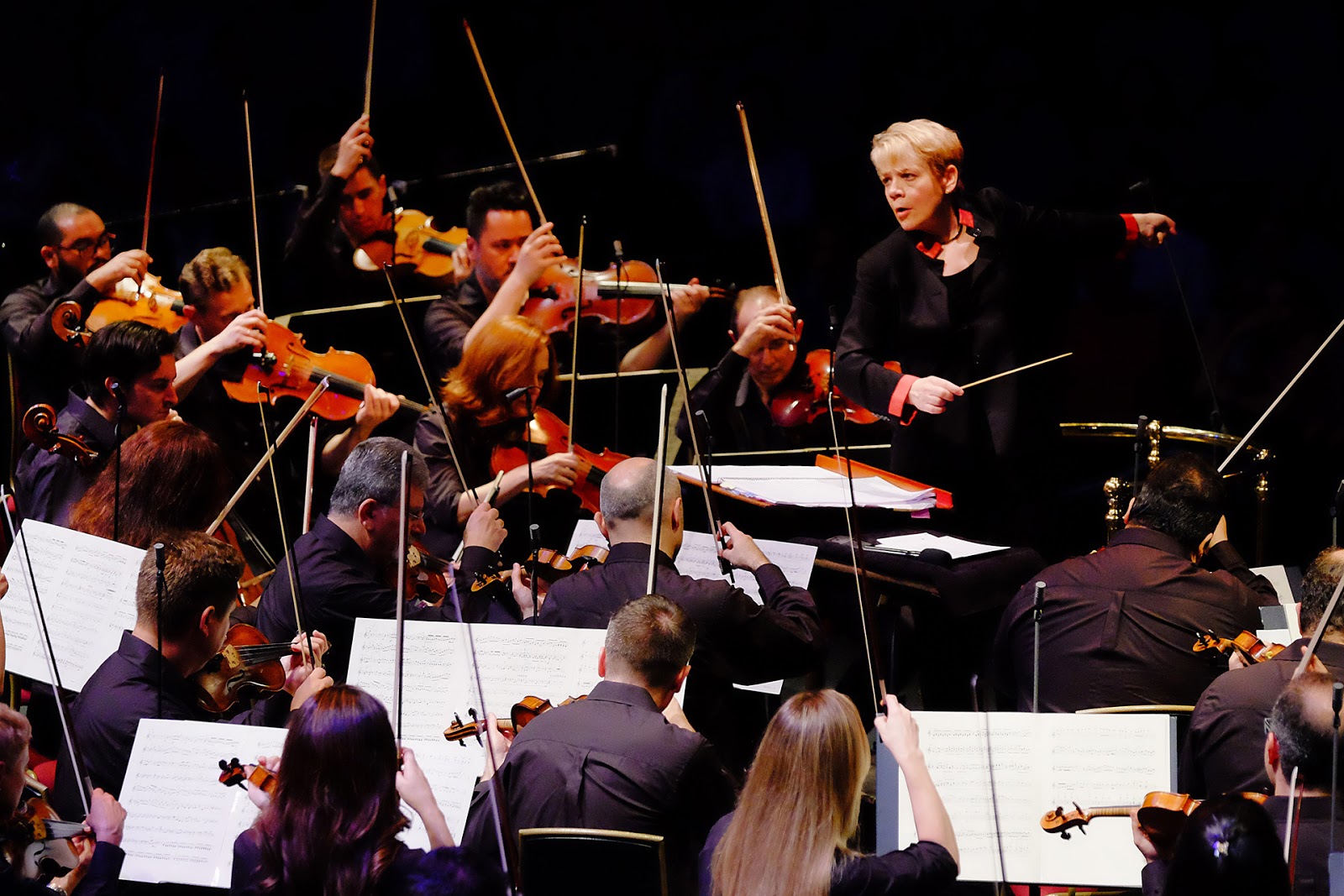 Orchestra