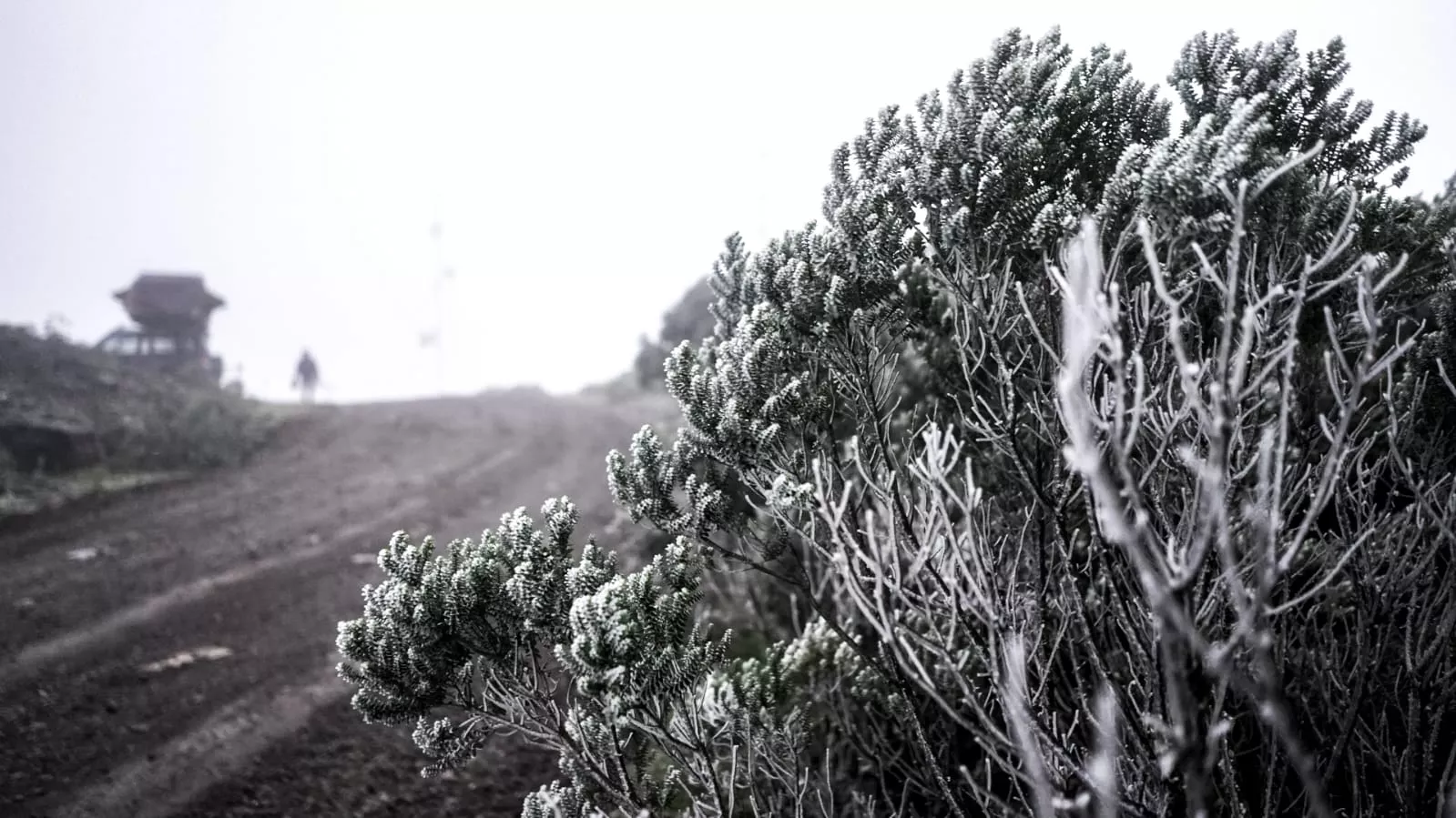 According to Inmet, the lowest temperature in Brazil in 2022 was recorded in Bom Jardim da Serra. (Photo internet reproduction)