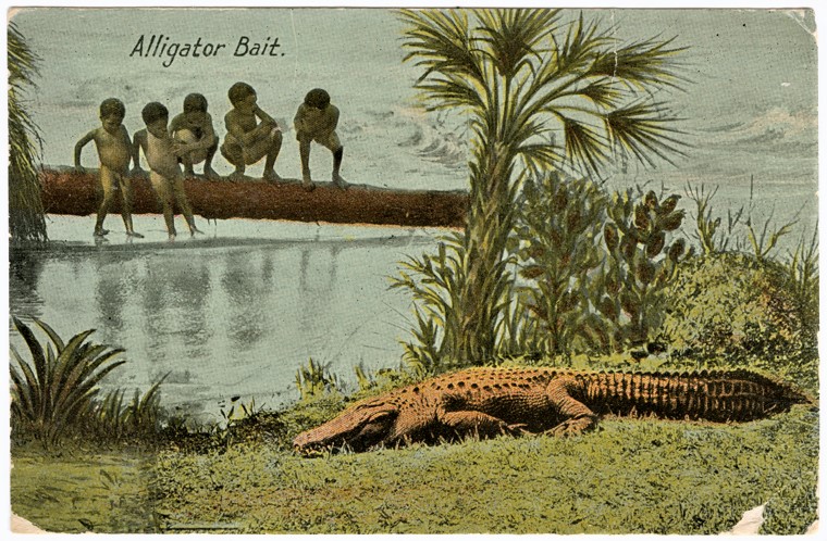 When black babies were used as alligator bait in America