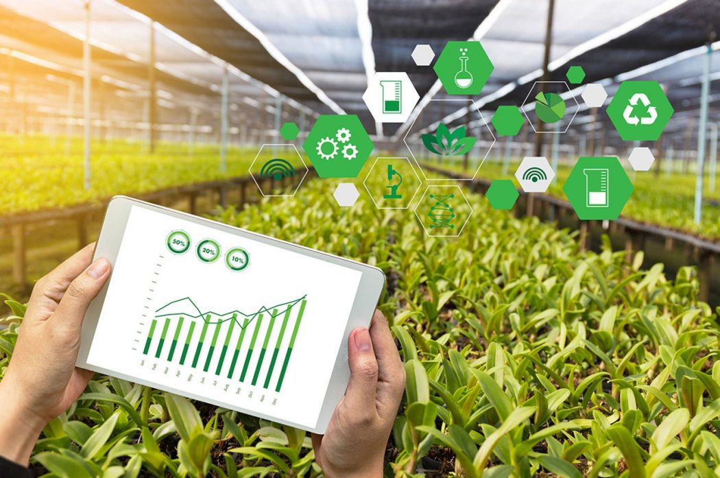 Since 2009, startups in precision agriculture have received more than half of the investments made in agrotechs in the country, according to Distrito. The companies in the segment attracted investments of US$170.18 million in this period.