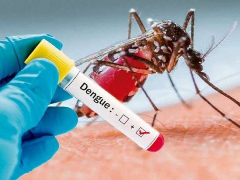 Brazil: Dengue cases grow 151% in 2022; Brasília leads the ranking