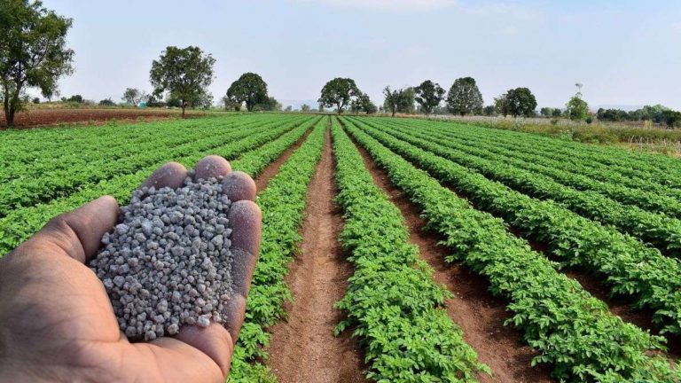 Fertilizer imports from Russia drop 9%, Brazil diversifies suppliers